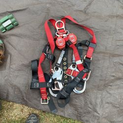 Harness