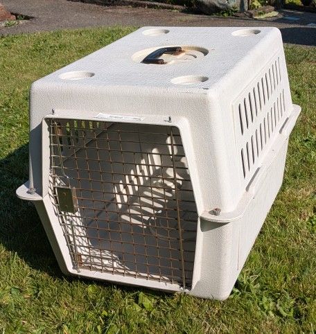 Medium Sized Dog Kennel