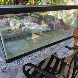 Aquarium