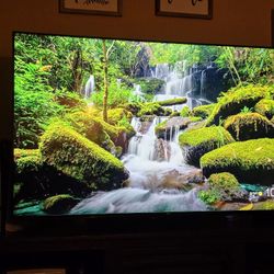 TCL 55" Class 4-Series 4K UHD HDR Smart Roku TV 