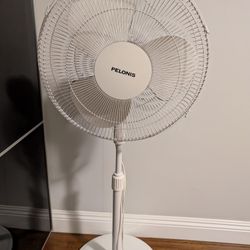 Oscillating Fan 3 Speed Fan