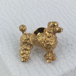 PIN BROOCH JEWELRY ⭐️✨✨✨⭐️