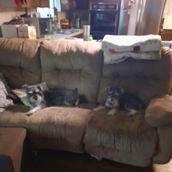 Free Couch With Recliners On Each End And Also A TV Stand 