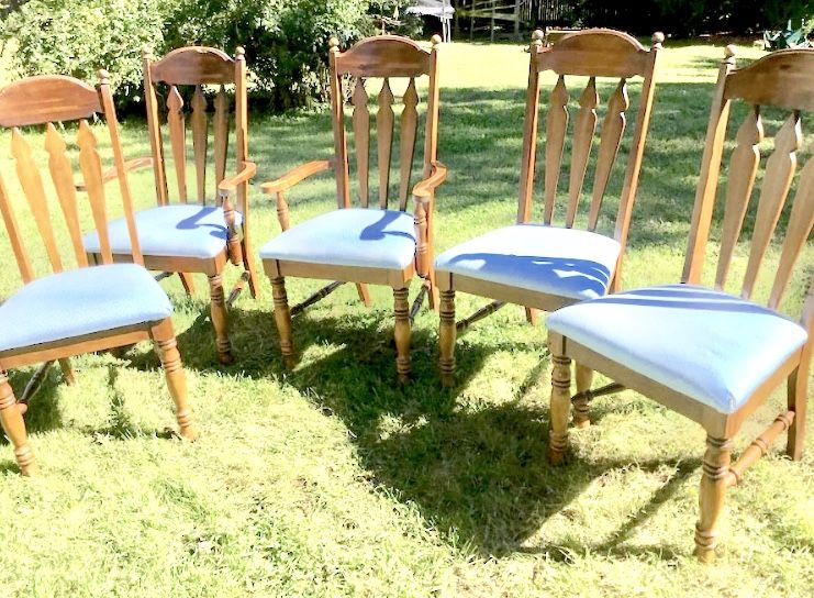 Dining room chairs (x5)