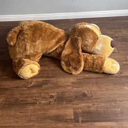 Stuffed Animal