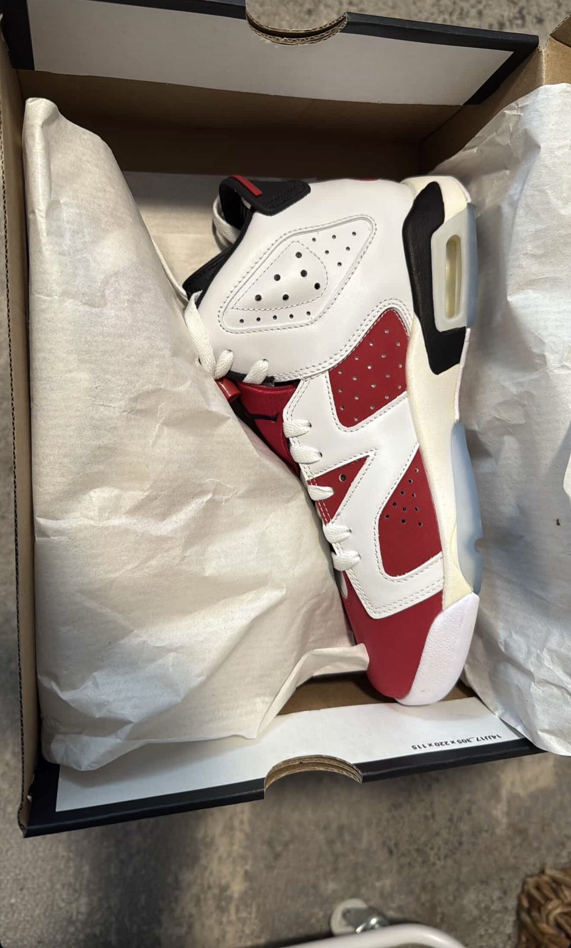 Jordan Retro 6 “Carmine”