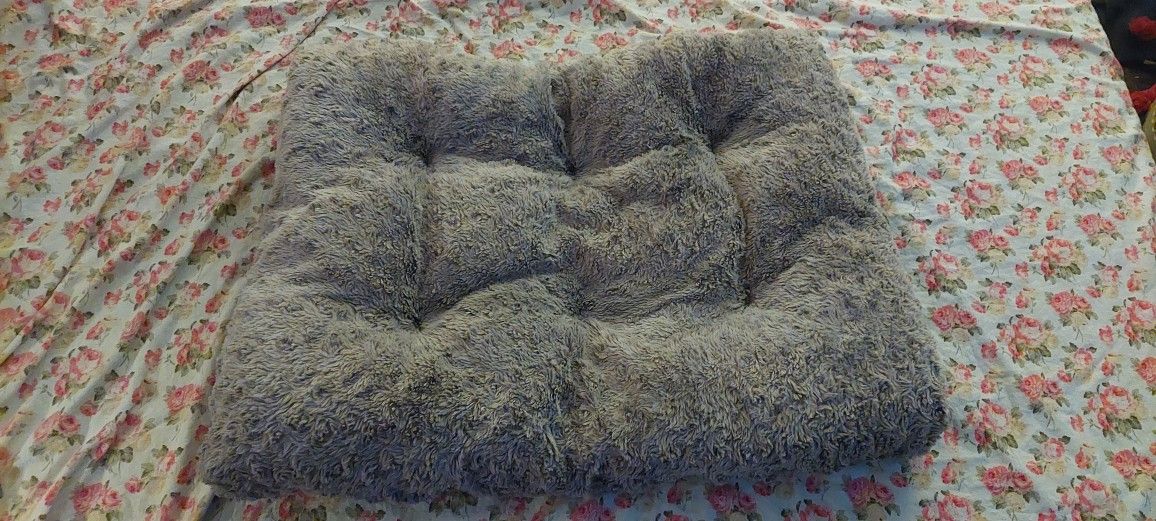Dog Bed