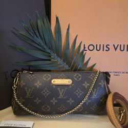 Louis Vuitton Bag 