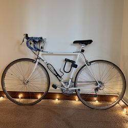 Terry vintage road bike bicycle steel frame