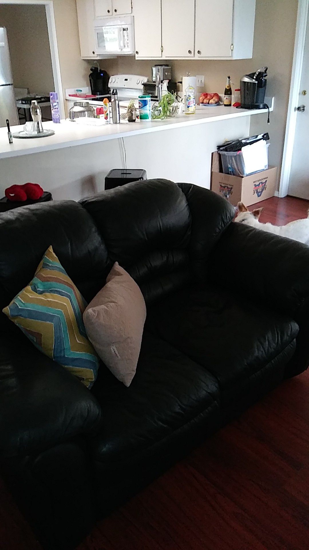 Leather sofa and loveseat