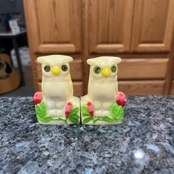 Vintage Anthropomorphic Plastic Owl Pair of Salt And Pepper Shakers.  Size approximately 3 inches tall.  Preowned never Used 
