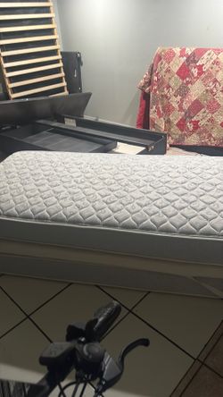 Twin size daybed with trundle