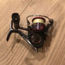 Diawa Fuego LT 1000D Fishing Reel