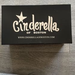 Cinderella of Boston Dior heels