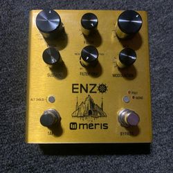 Meris Enzo Guitar Pedal