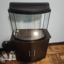 40 gallon fishtank with tank