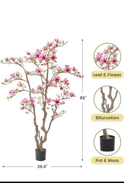 Pink tree
