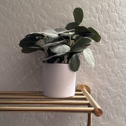 Faux Plant