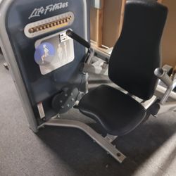Lifestyles Tricep Dip Machine 