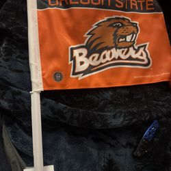 Beavers Car Flag 