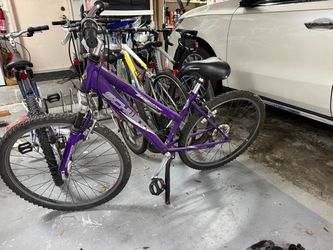 Schwinn Purple Mountain Bike