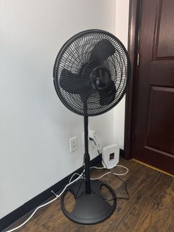 Standing Fan – Great Condition