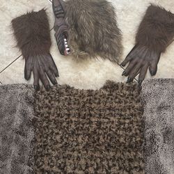 Halloween Wolf Costume