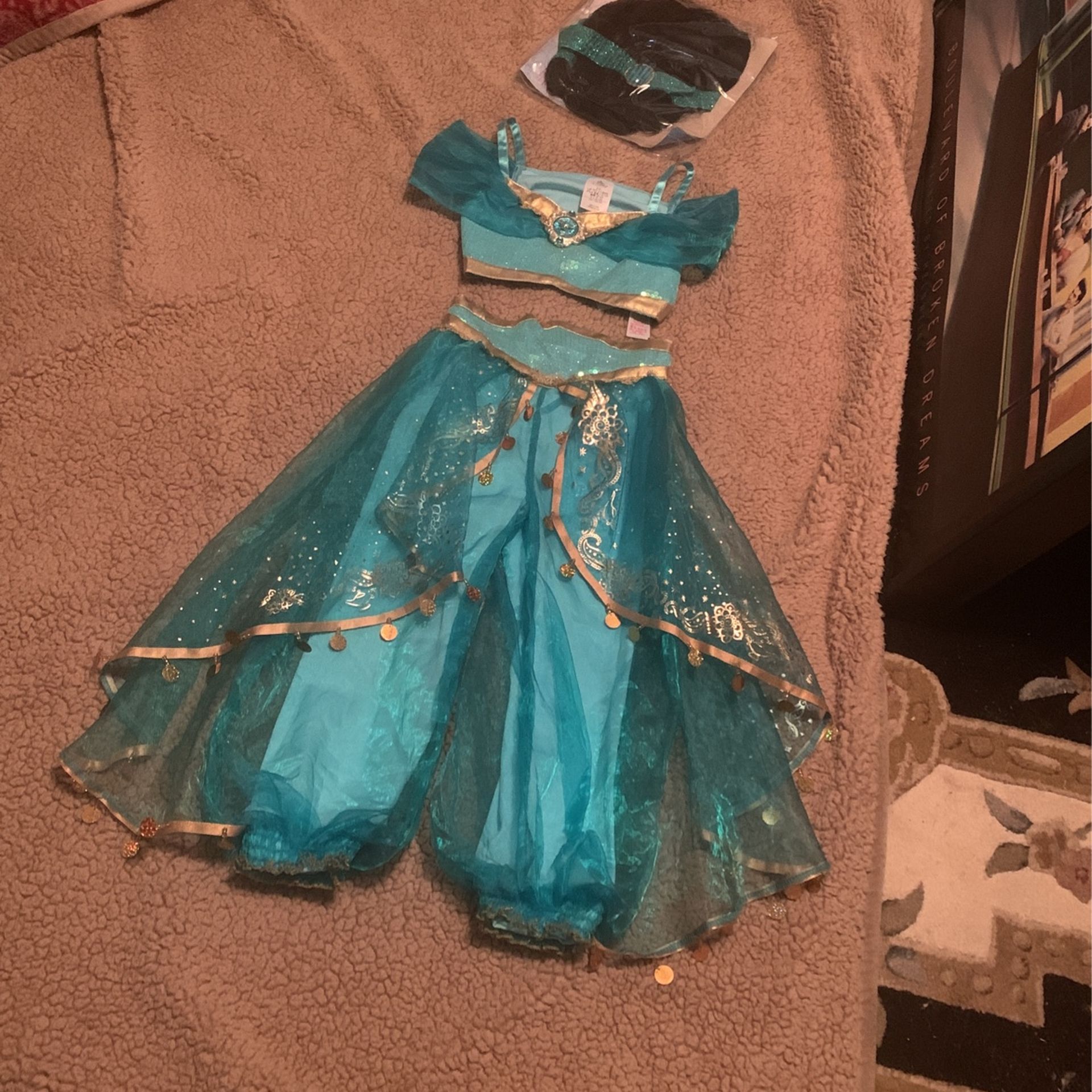 Princess Jasmine Costume