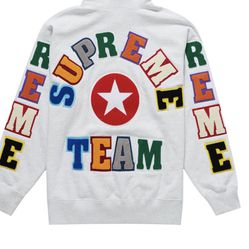 Supreme Team Chenille Hooded Sweatshirt 'Ash Grey