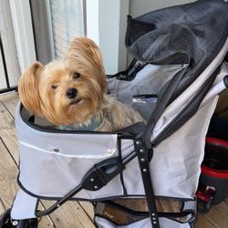 Dog Stroller 