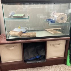 Gerbil Habitat 