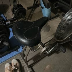 Schwinn Air Pedal For Training 