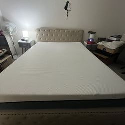 Queen bed + Mattress 