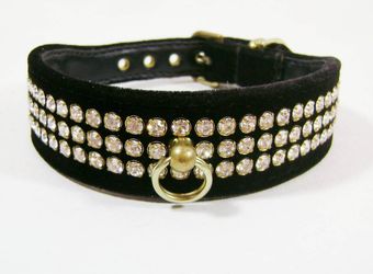 Dog Collar Bling