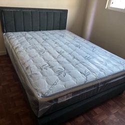 Black  series Euro Pillow Top 12” $199