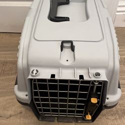 Dog-cat Travel Carry