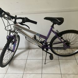 $80, Magna Great Divide Bike 