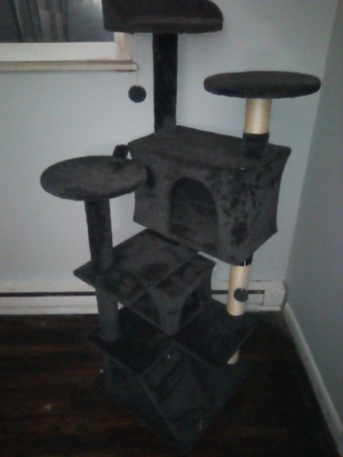 Cat Stand 