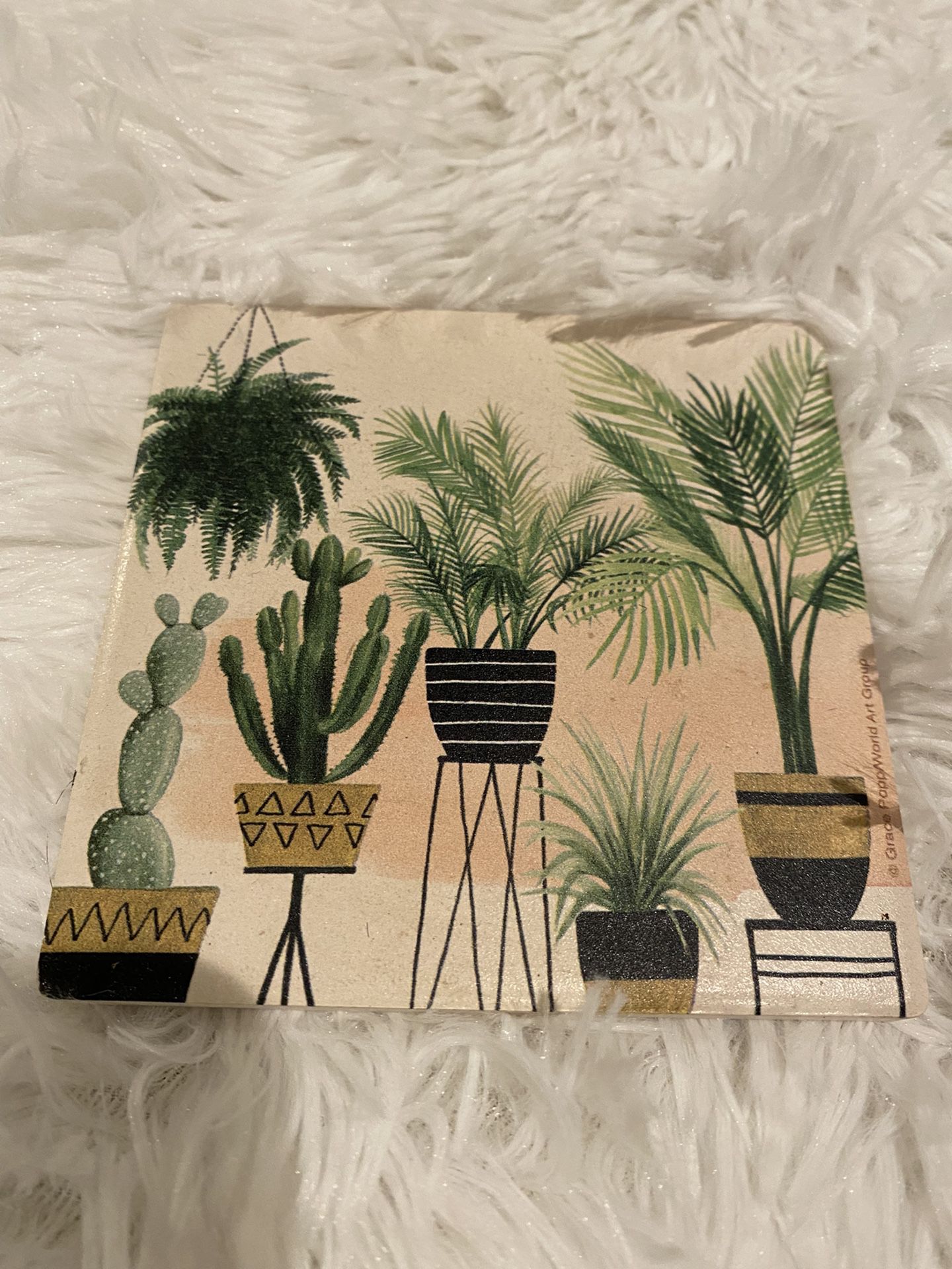 Coaster / Plants