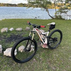 2015 full suspension Specialized Stumpjumper 29”