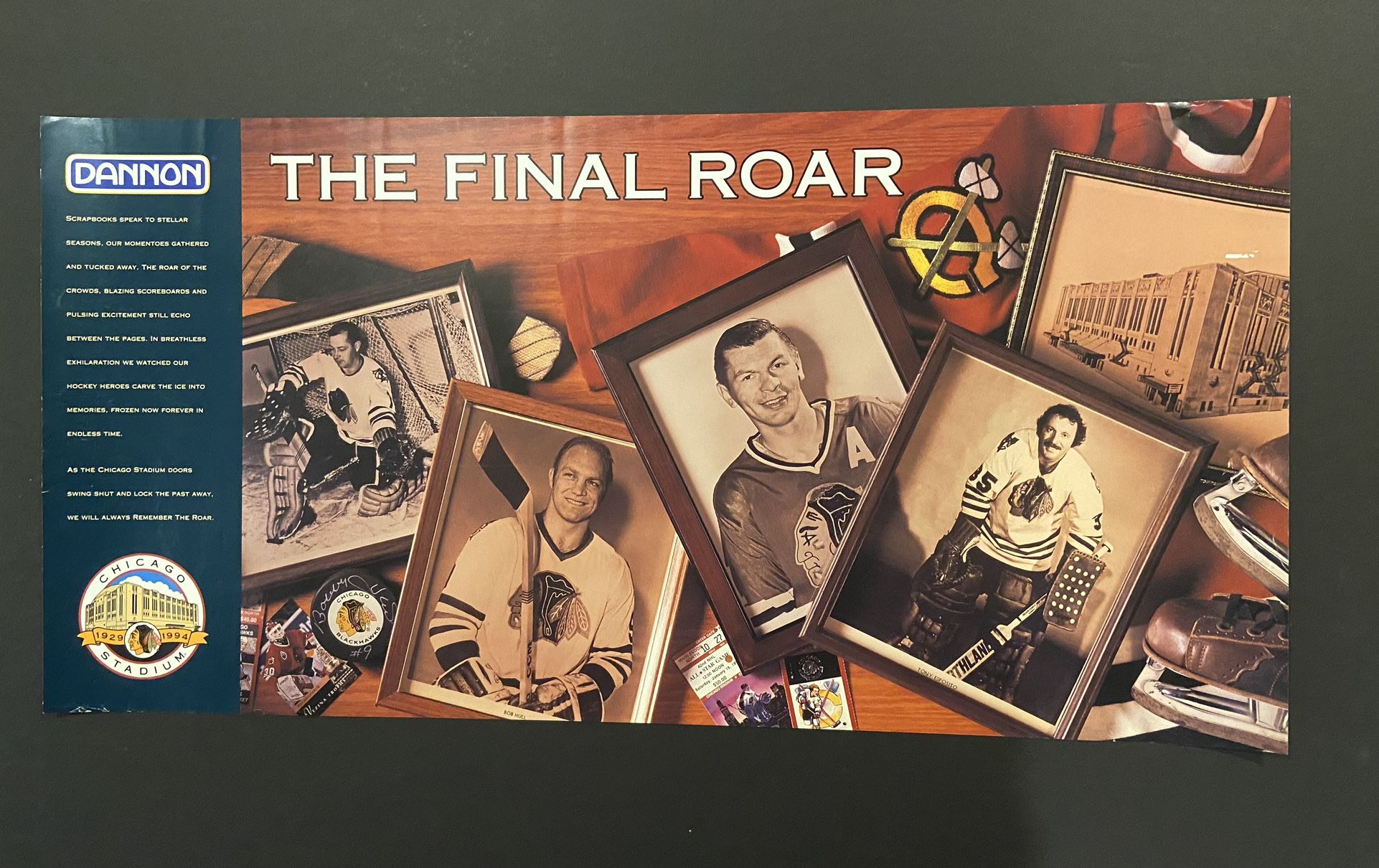 Chicago Blackhawks The Final Roar Poster