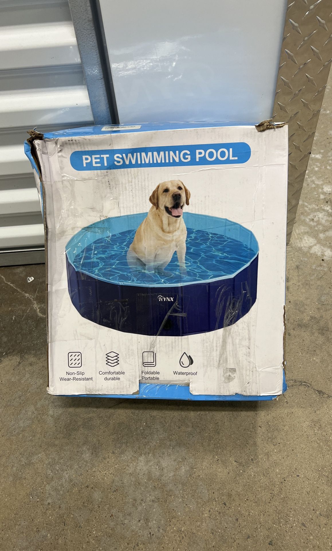 Dog Swimming Pool