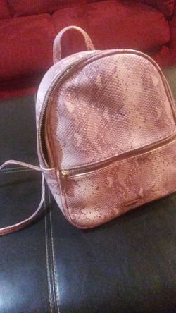 Brand new purse from icing store