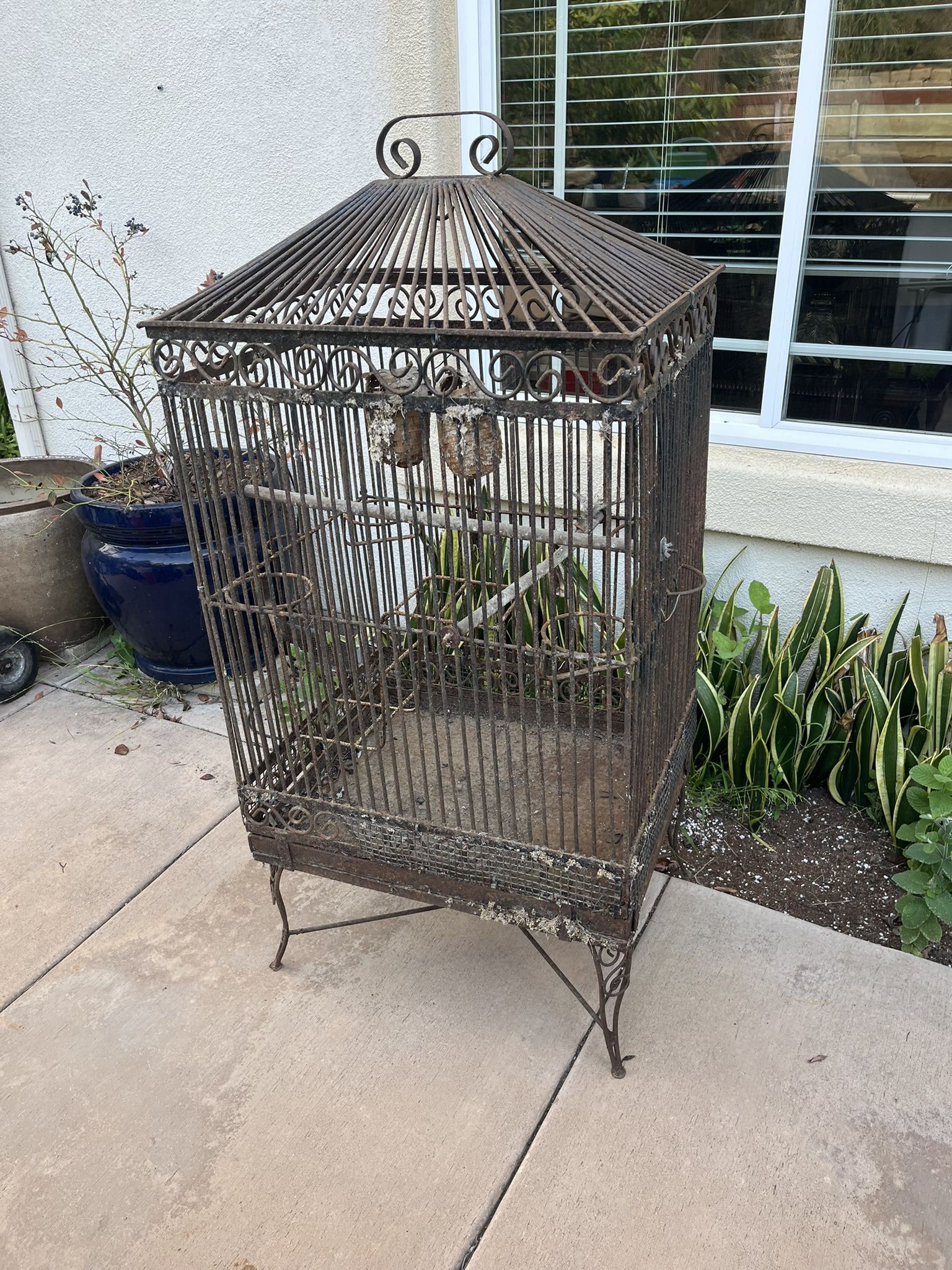 Bird Cage