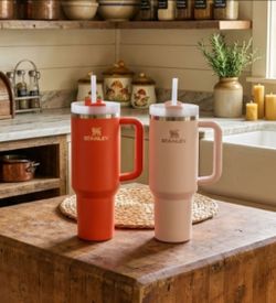 Set of 2 Stanley 40oz Insulated Stainless Steel Tumblers with Handles - Pink & Orange