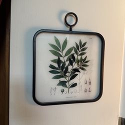 Plant wall decor