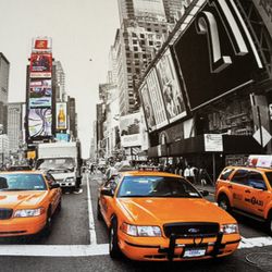 Like New Big Canvas Picture For Sale 