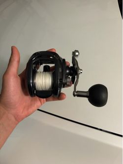 Daiwa lexa 400 and shimano curado 200