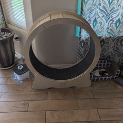 Cat Wheel