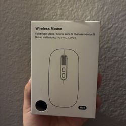 Wireless Mouse